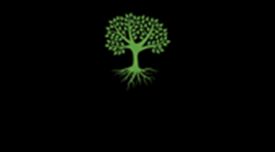 Livetsomsenior Logo