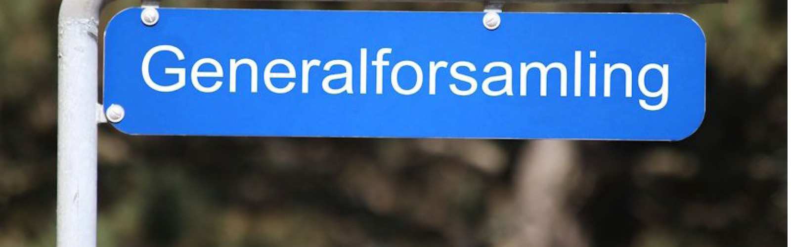 Generalforsamling
