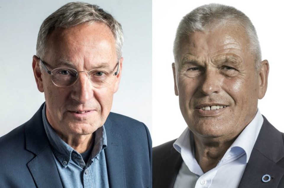 Formandsvalg