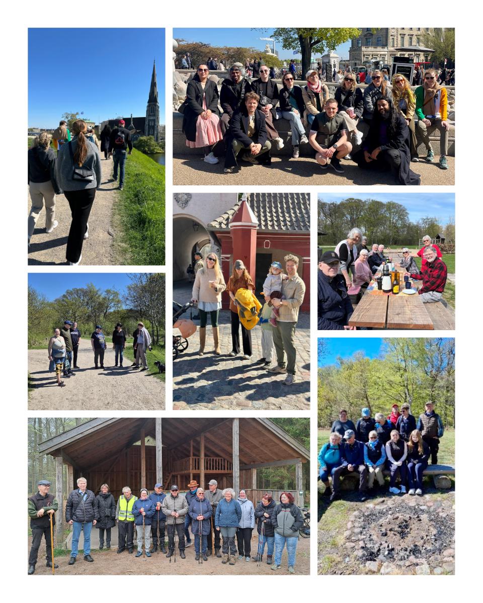 Danmarks Diabetesdag Collage 5