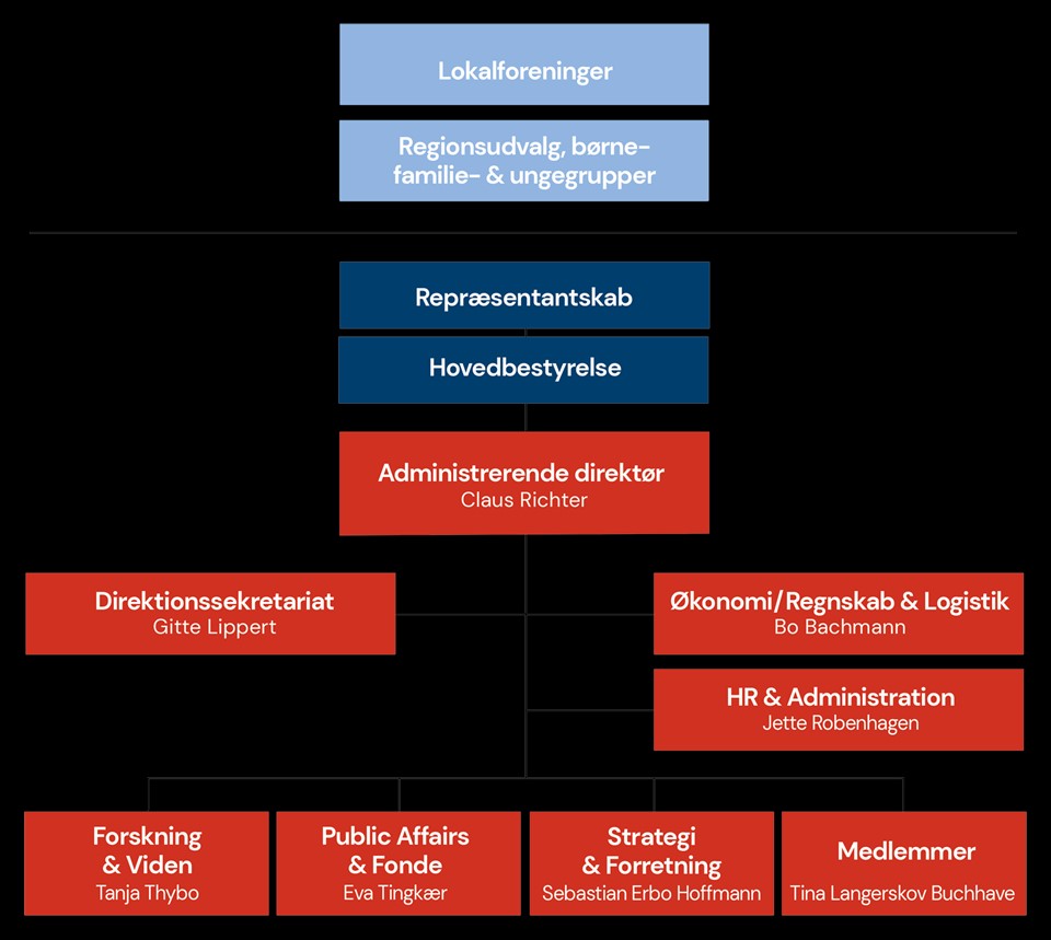 Organisationsdiagram for Diabetesforeningen