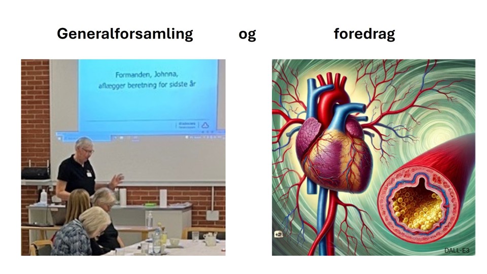 Generalforsamling Og Foredrag