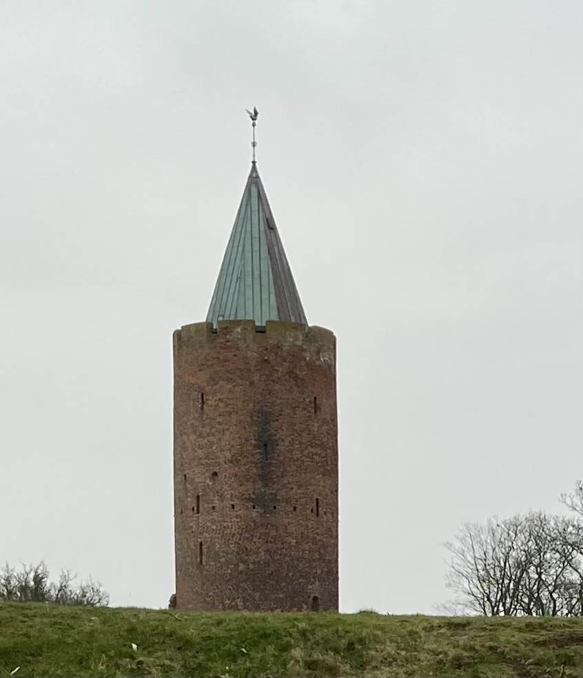 IMG 0988