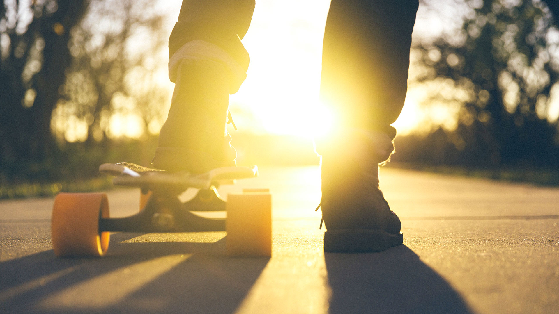 Skateboard Web