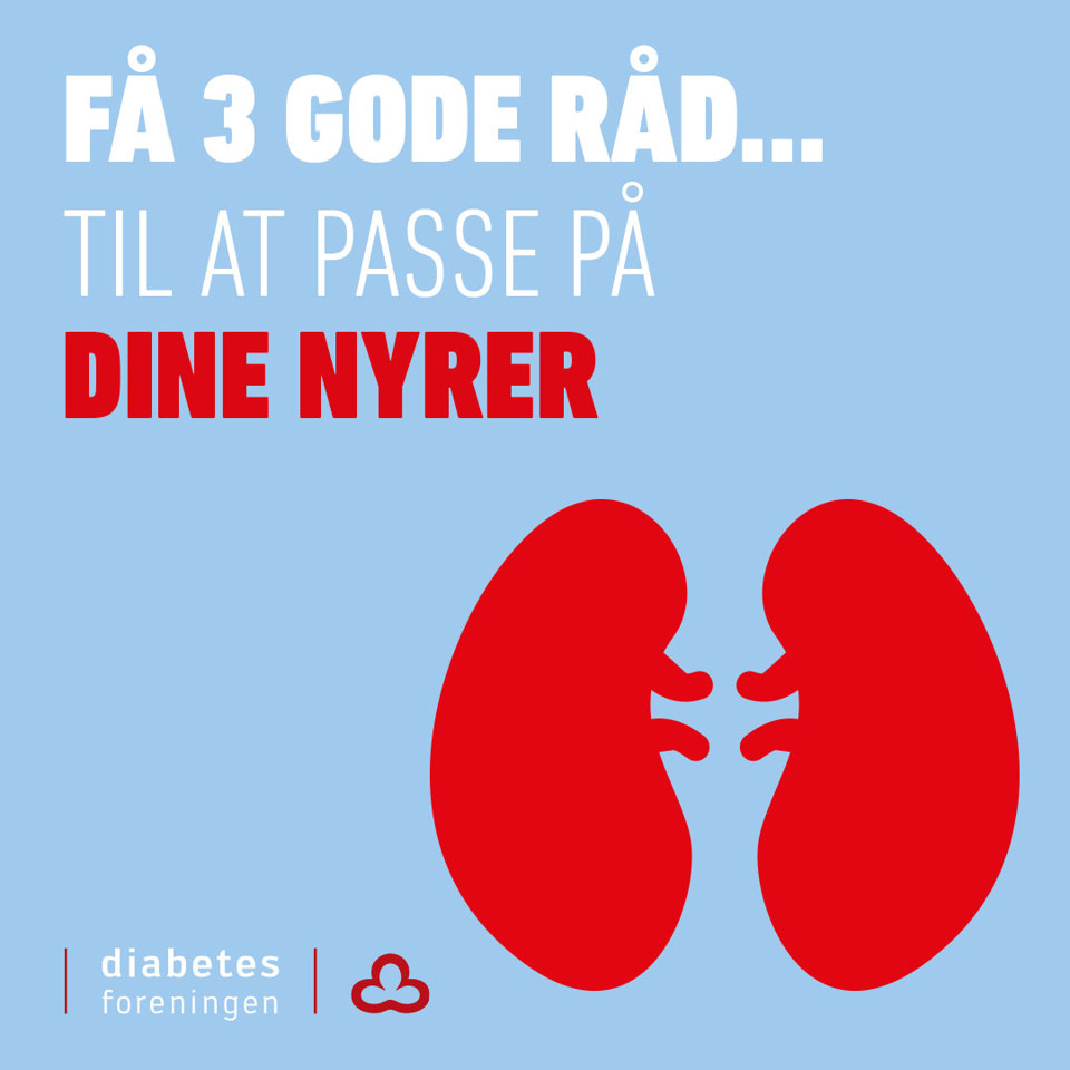 3 Gode Råd Til Nyrerne