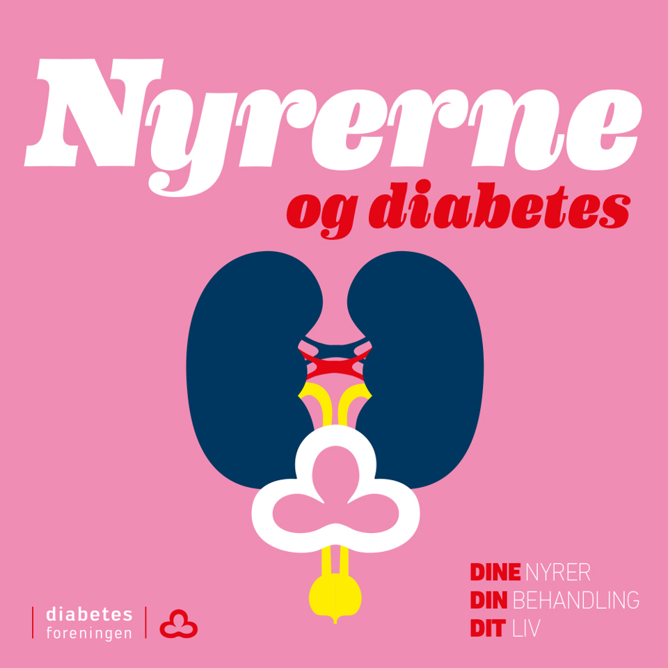 Nyrerne Og Diabetes Forside Web