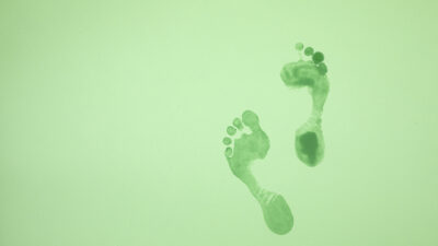 Foedder12web
