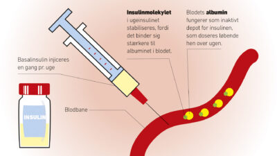 Forskning Depot Insulin WEB 2